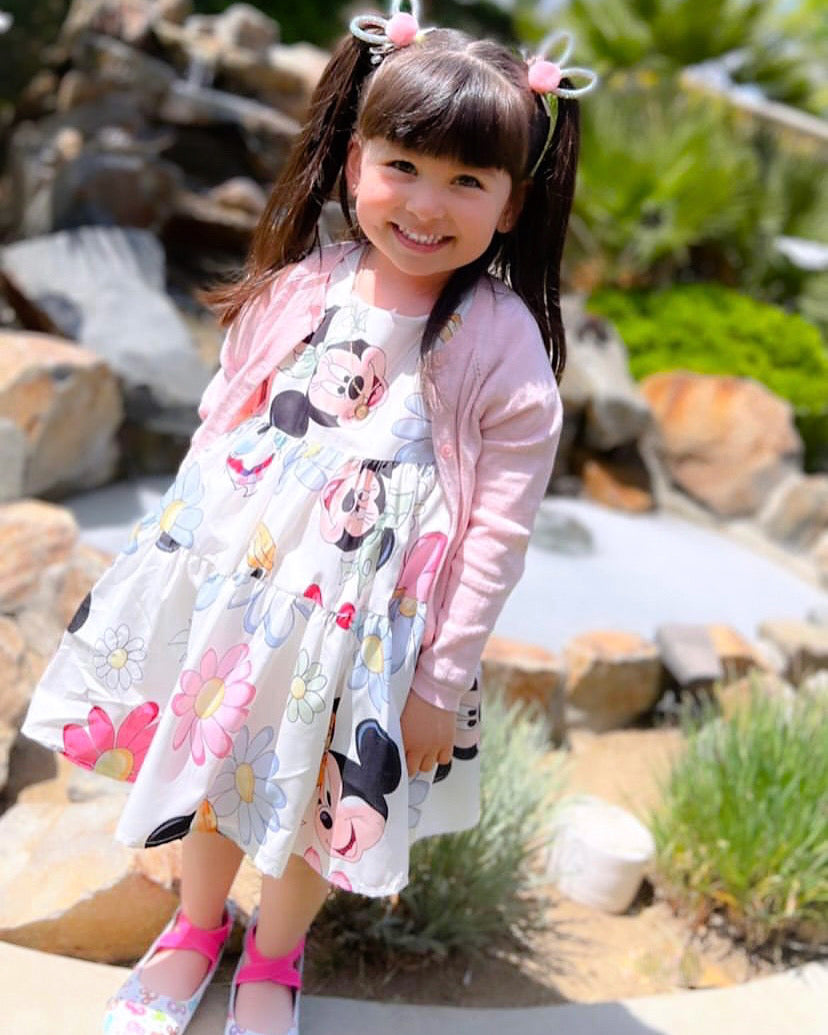 Spring at Disney Dress